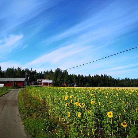 Maatilamatkailu Ilomaeki Seinäjoki Buitenkant foto