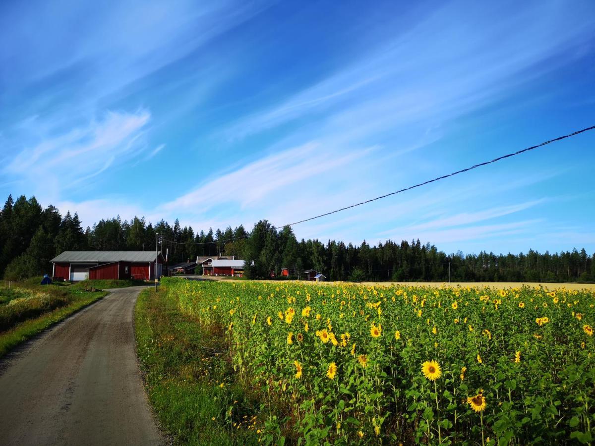 Maatilamatkailu Ilomaeki Seinäjoki Buitenkant foto