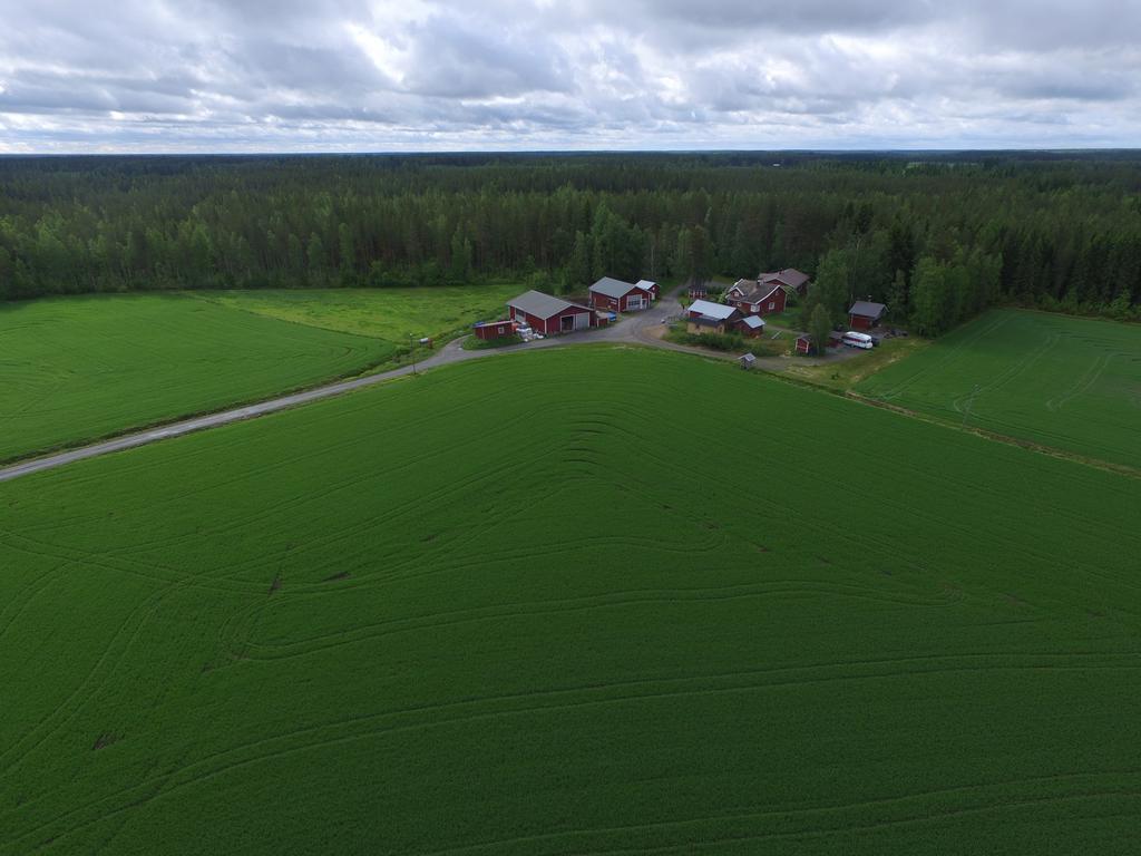 Maatilamatkailu Ilomaeki Seinäjoki Buitenkant foto