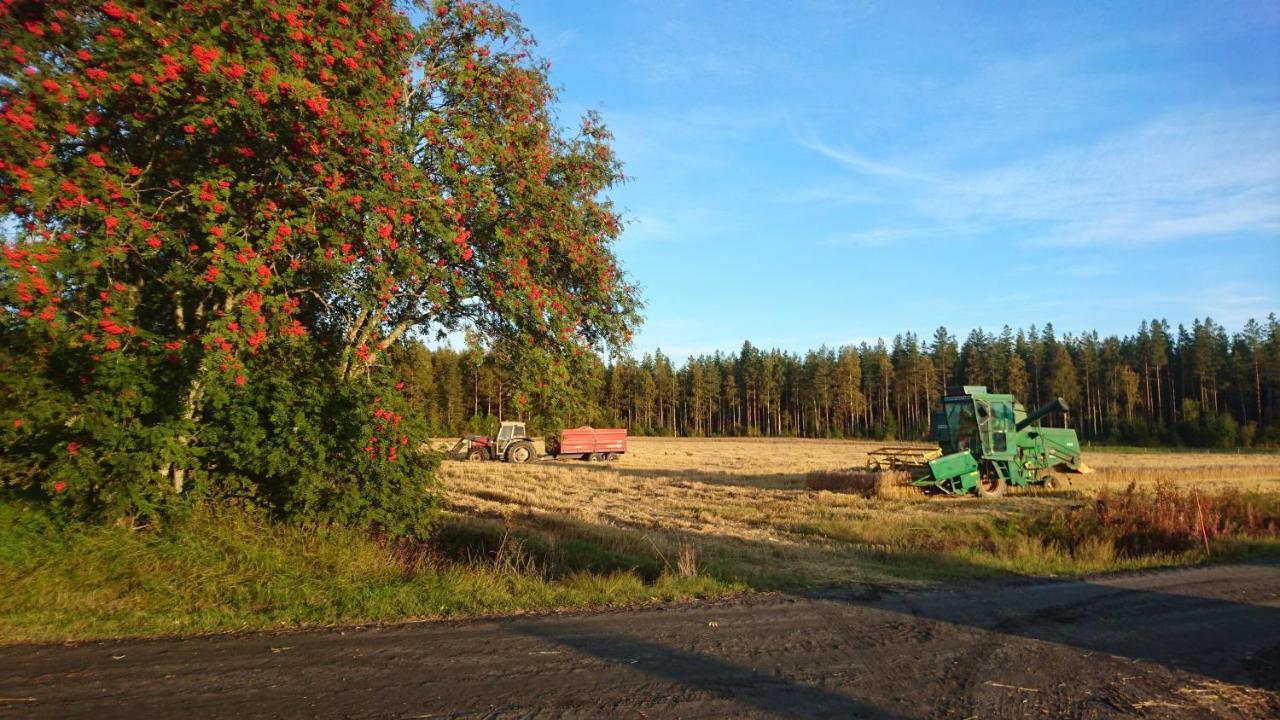 Maatilamatkailu Ilomaeki Seinäjoki Buitenkant foto