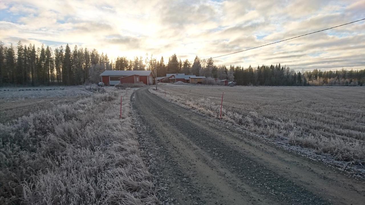 Maatilamatkailu Ilomaeki Seinäjoki Buitenkant foto