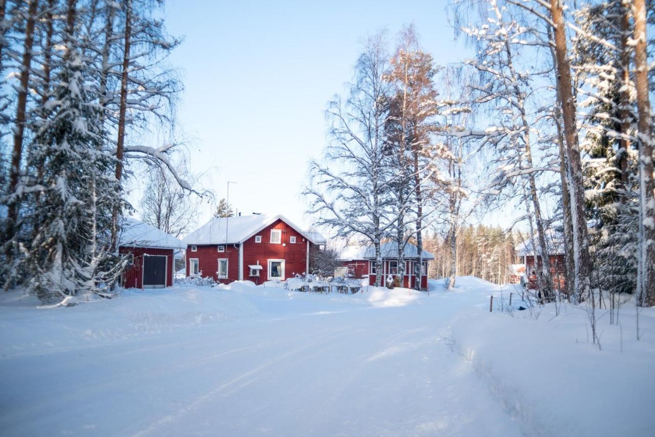 Maatilamatkailu Ilomaeki Seinäjoki Buitenkant foto