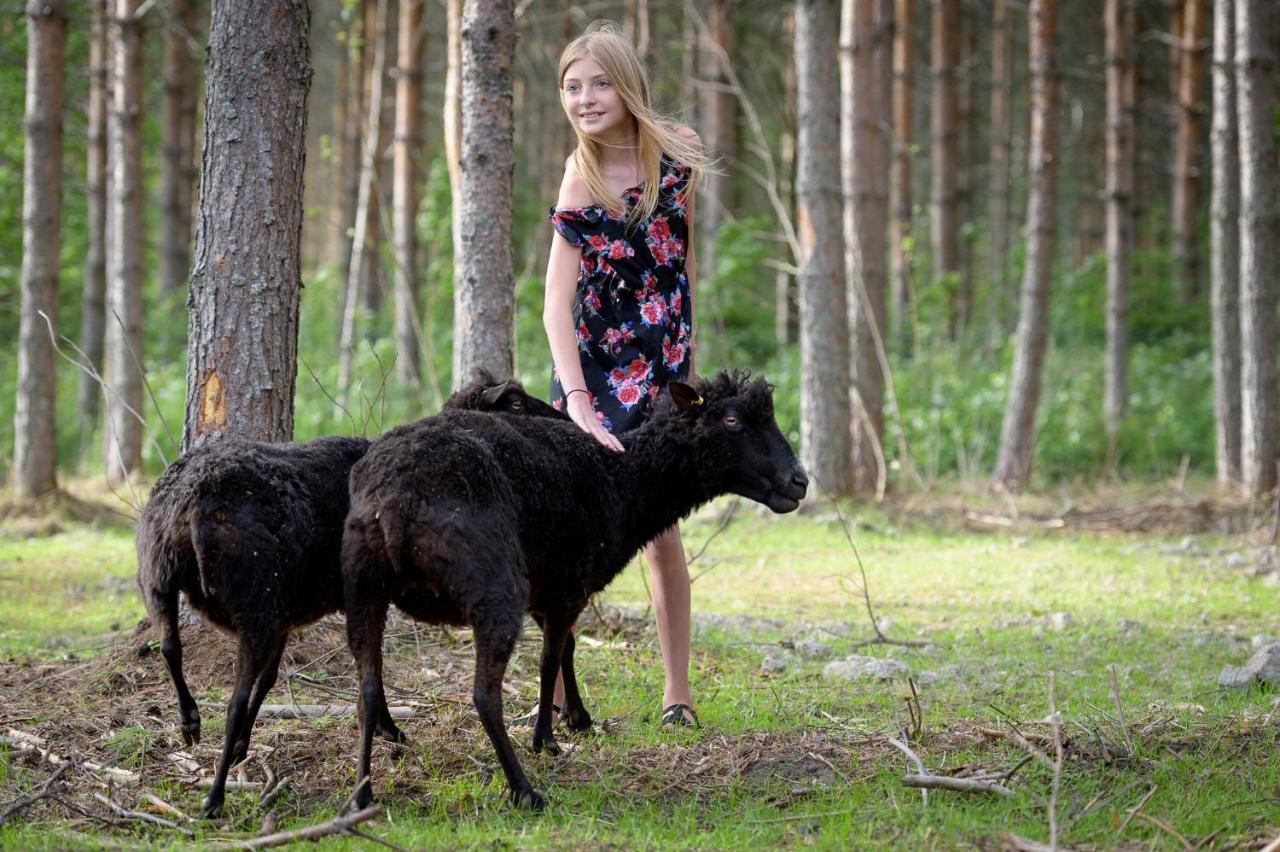 Maatilamatkailu Ilomaeki Seinäjoki Buitenkant foto